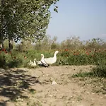 Masseria Cafora מלון צ'ריניולה