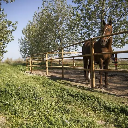 מלון Masseria Cafora