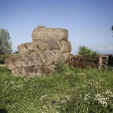 Masseria Cafora 4*