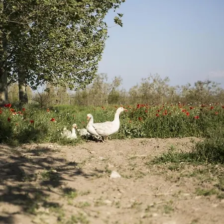 Masseria Cafora מלון צ'ריניולה