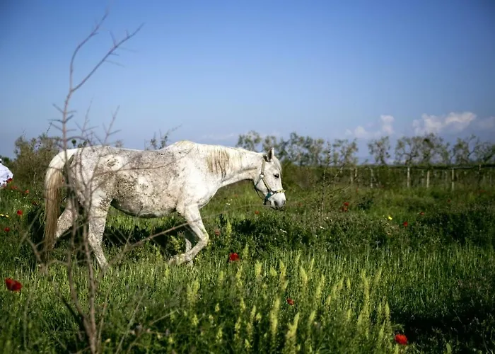 Masseria Cafora Отель