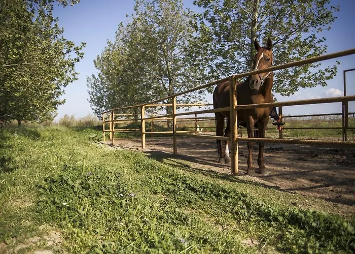 Отель Masseria Cafora