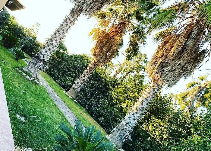 Отель Masseria Cafora 4*