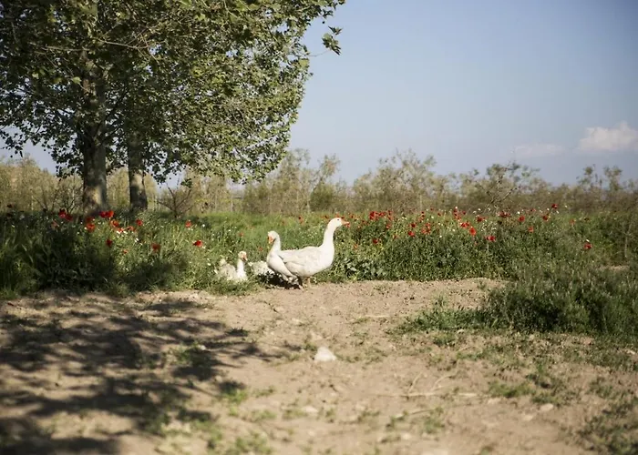 Masseria Cafora Отель Чериньола